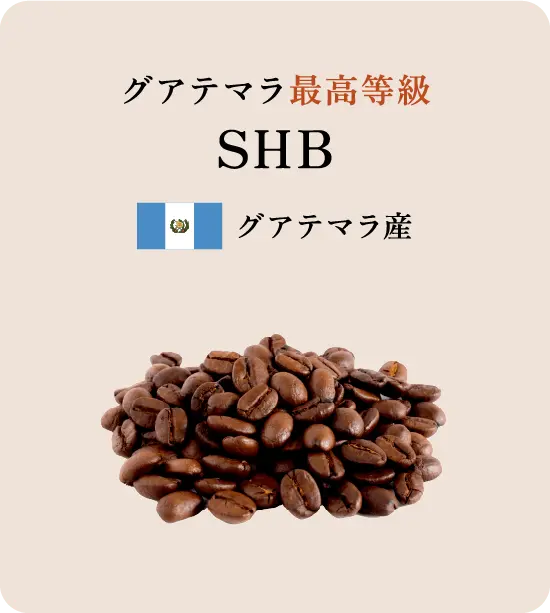 グアテマラ最高等級 SHB グアテマラ産