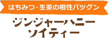 はちみつ・生姜の相性抜群　ジンジャーハニーソイティー