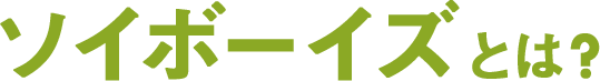 ソイボーイズとは