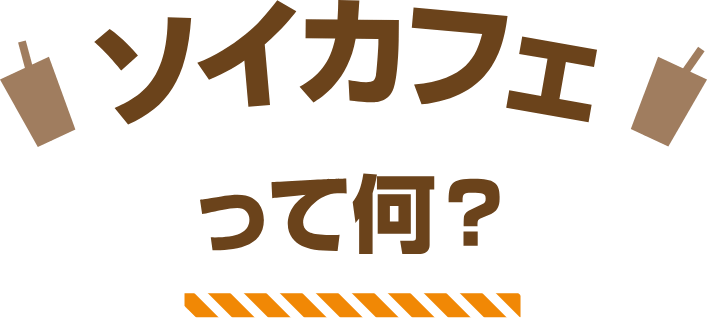 ソイカフェって何？